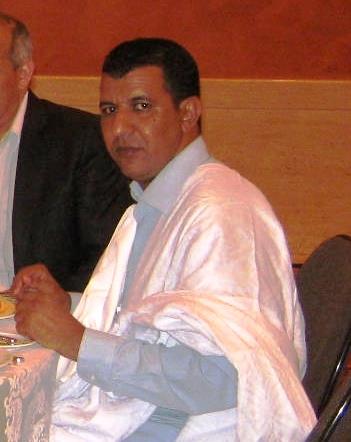 محمد محمود أبو المعالي