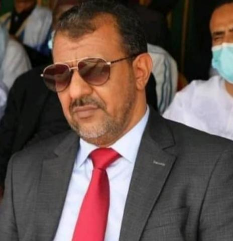 محمد محمود أبو المعالي
